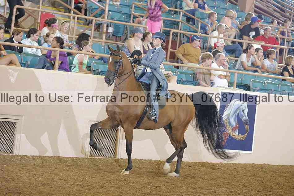 Proof 13yn_07687