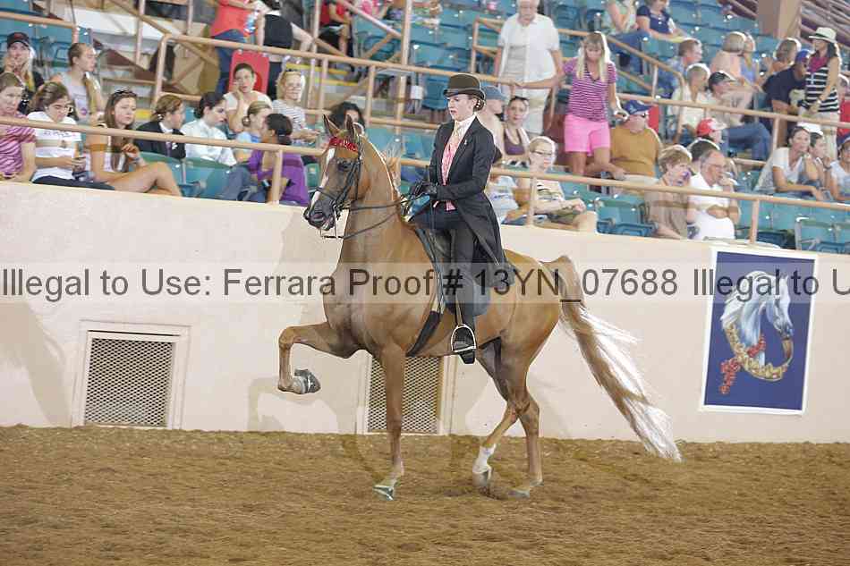 Proof 13yn_07688