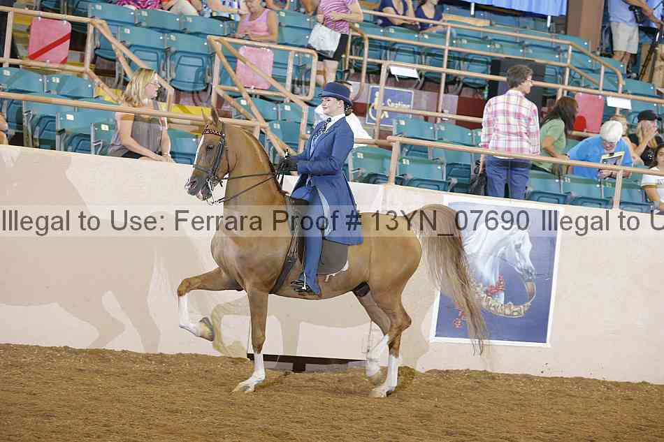 Proof 13yn_07690