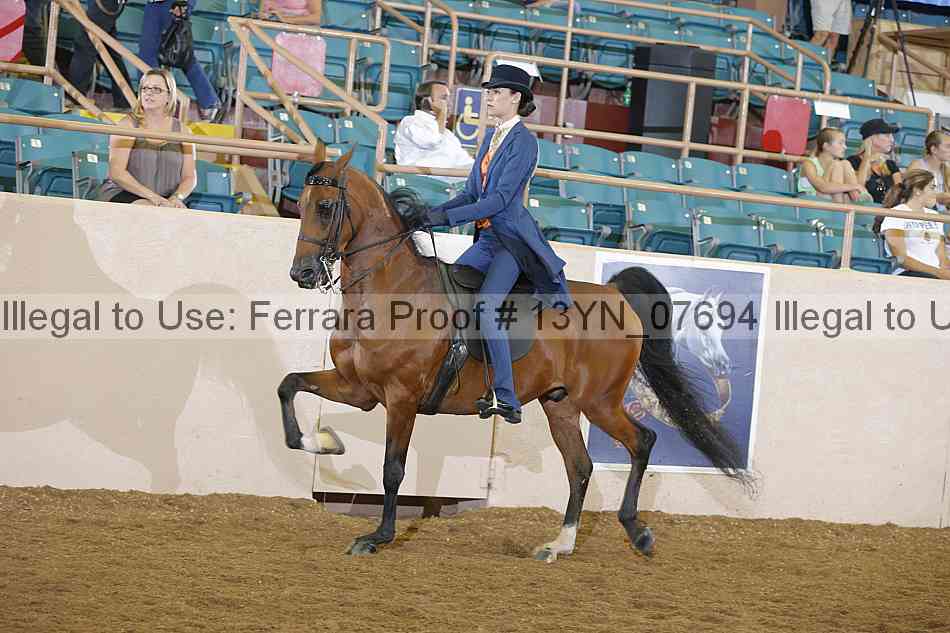 Proof 13yn_07694