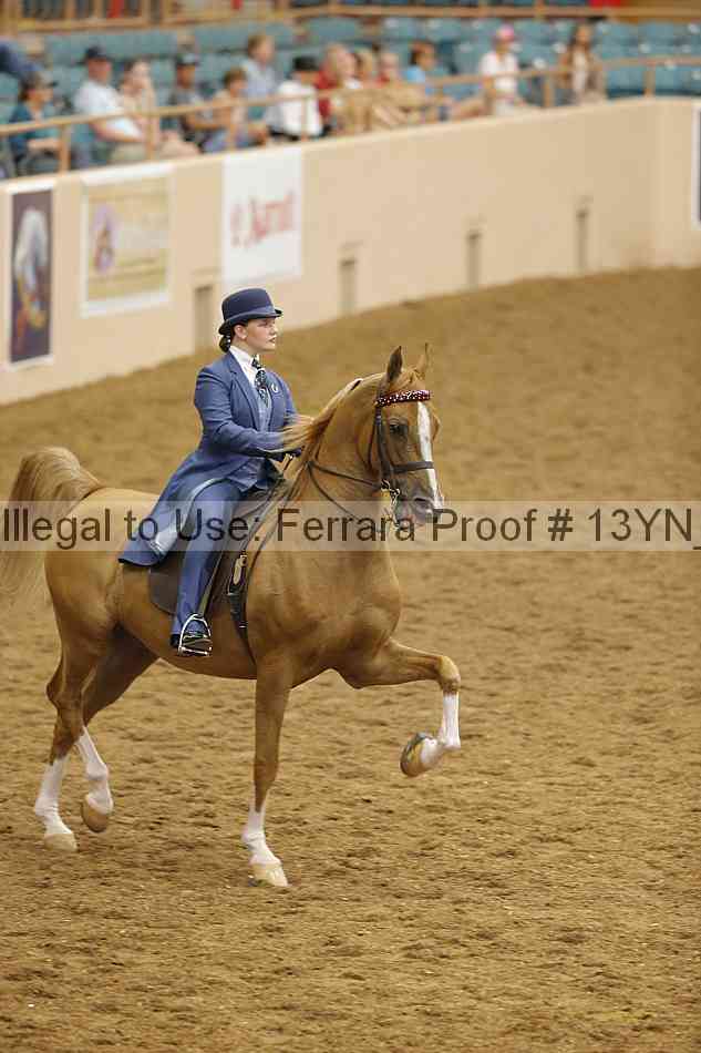 Proof 13yn_07697