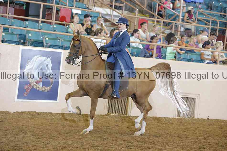 Proof 13yn_07698