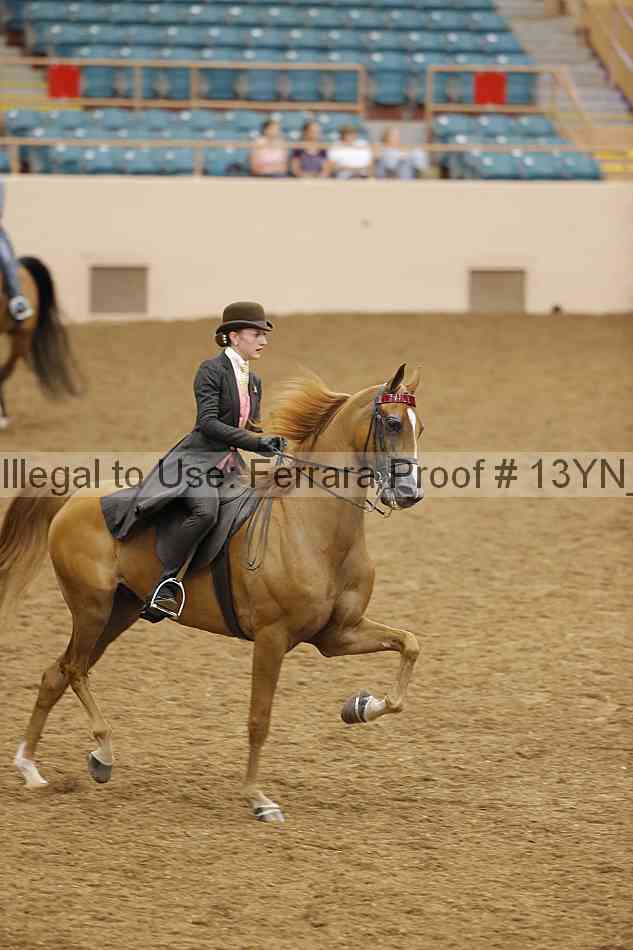 Proof 13yn_07702