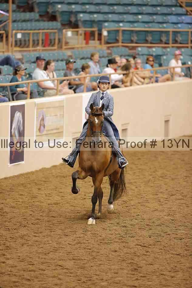 Proof 13yn_07703
