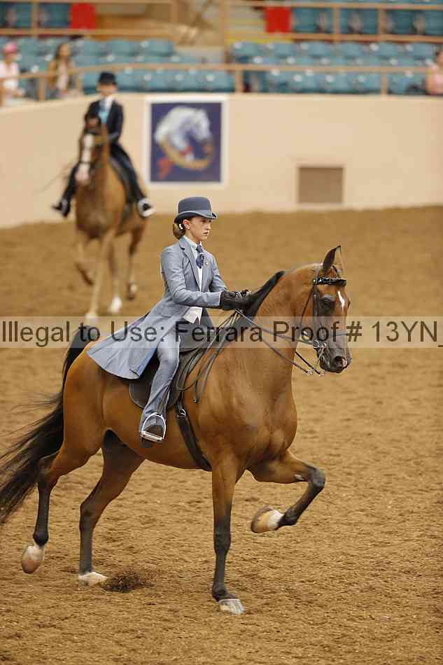 Proof 13yn_07704