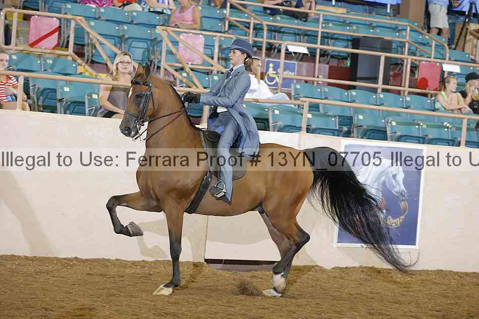 Proof 13yn_07705