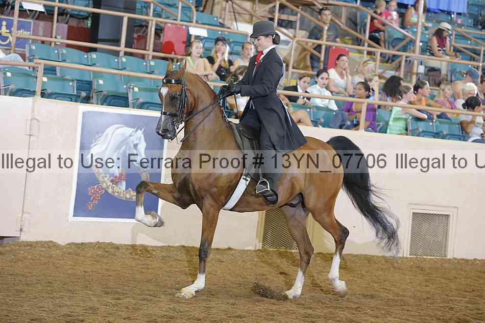 Proof 13yn_07706