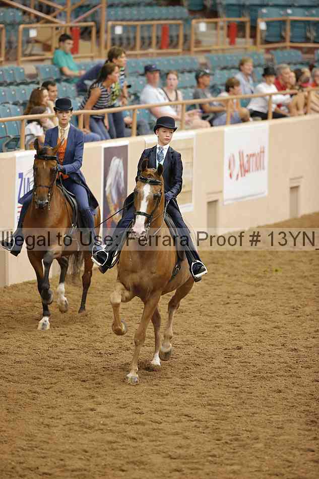Proof 13yn_07707