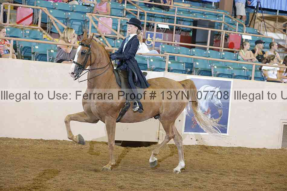 Proof 13yn_07708