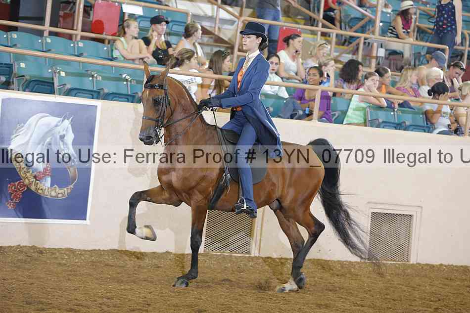 Proof 13yn_07709