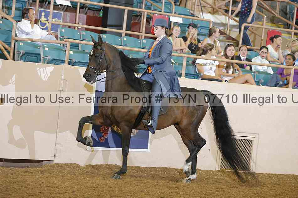 Proof 13yn_07710