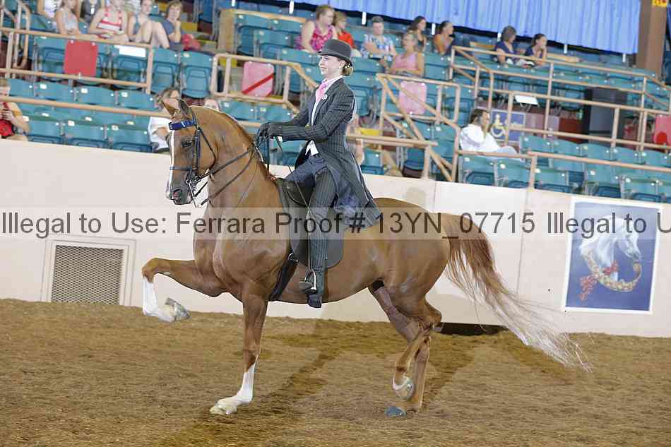 Proof 13yn_07715