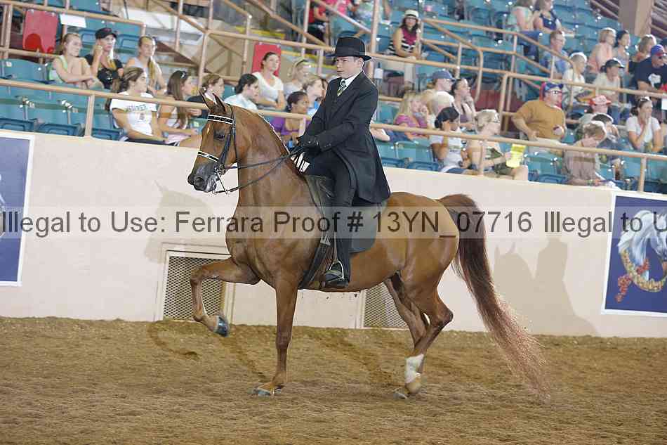Proof 13yn_07716