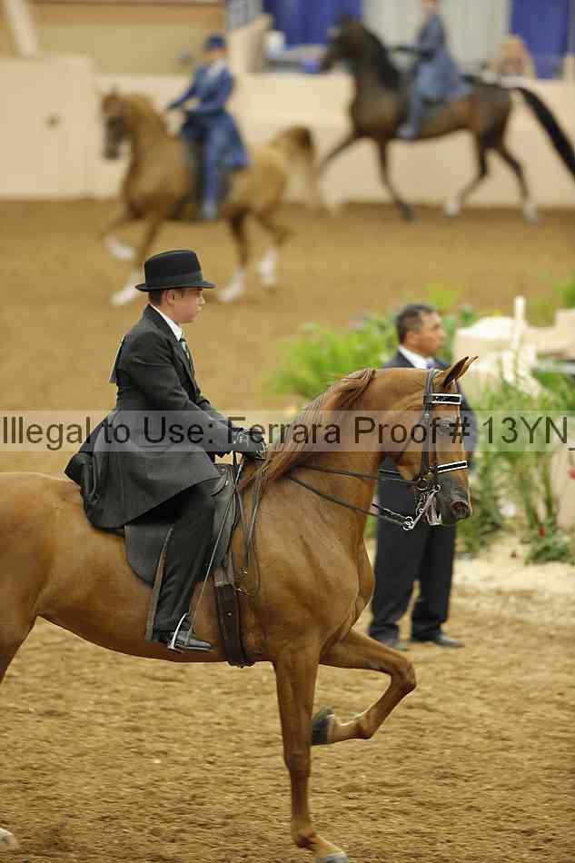 Proof 13yn_07717