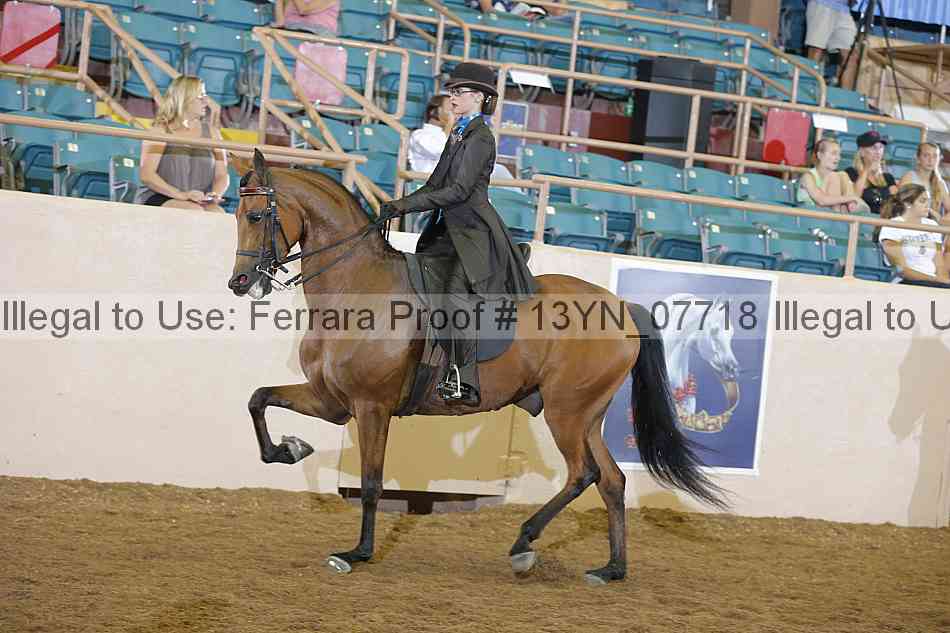 Proof 13yn_07718