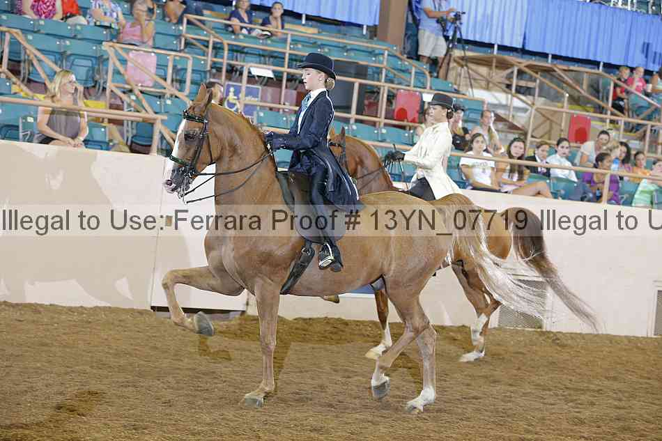 Proof 13yn_07719