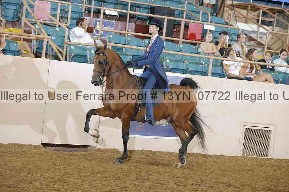 Proof 13yn_07722