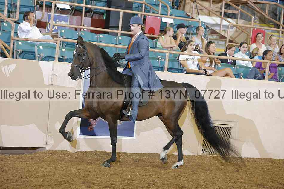 Proof 13yn_07727