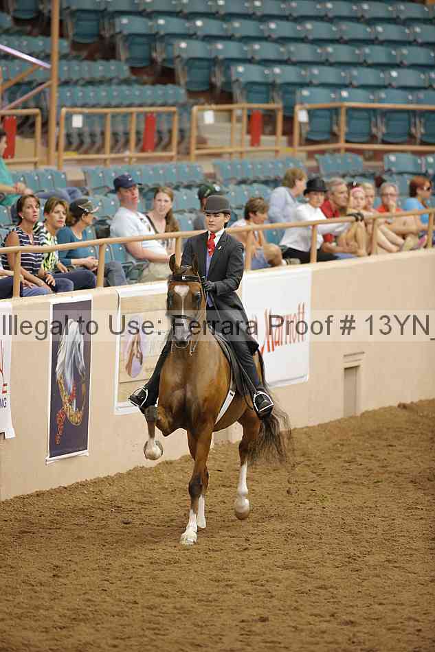 Proof 13yn_07728