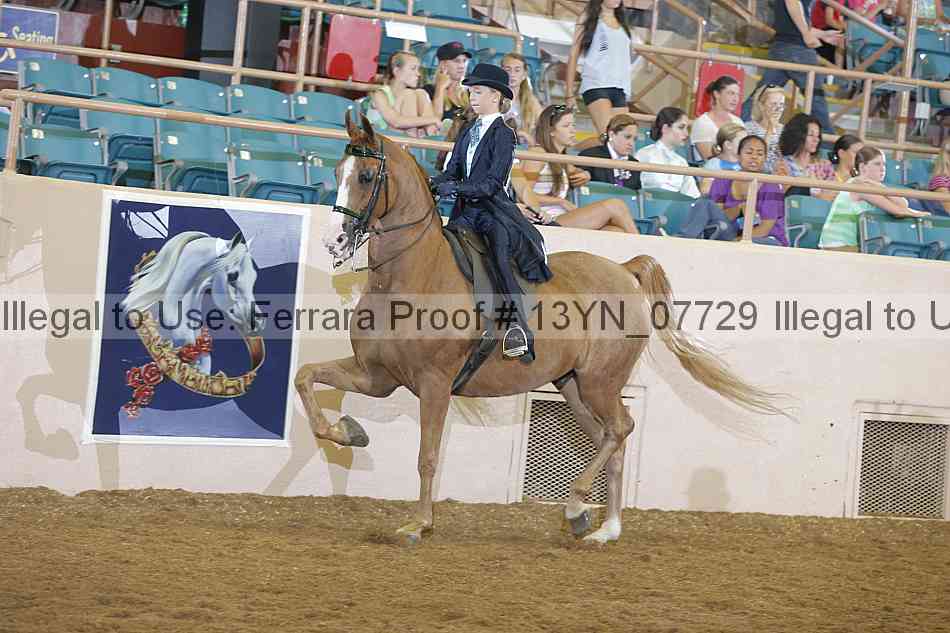 Proof 13yn_07729