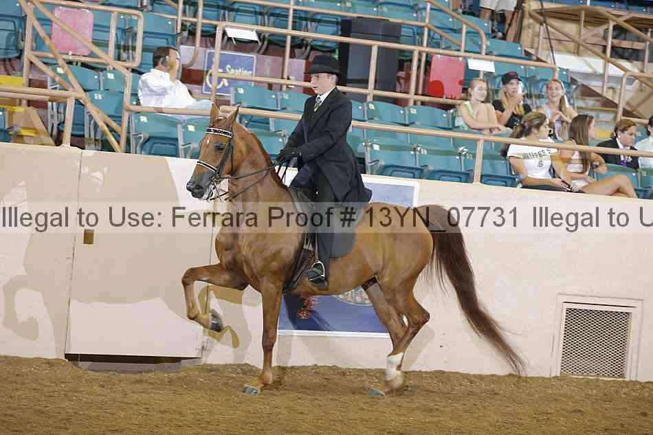 Proof 13yn_07731