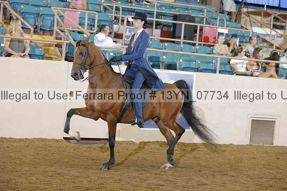 Proof 13yn_07734