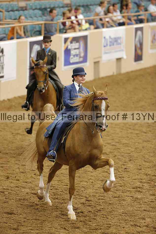 Proof 13yn_07736