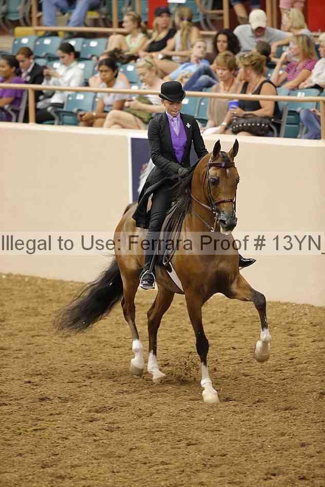 Proof 13yn_07738