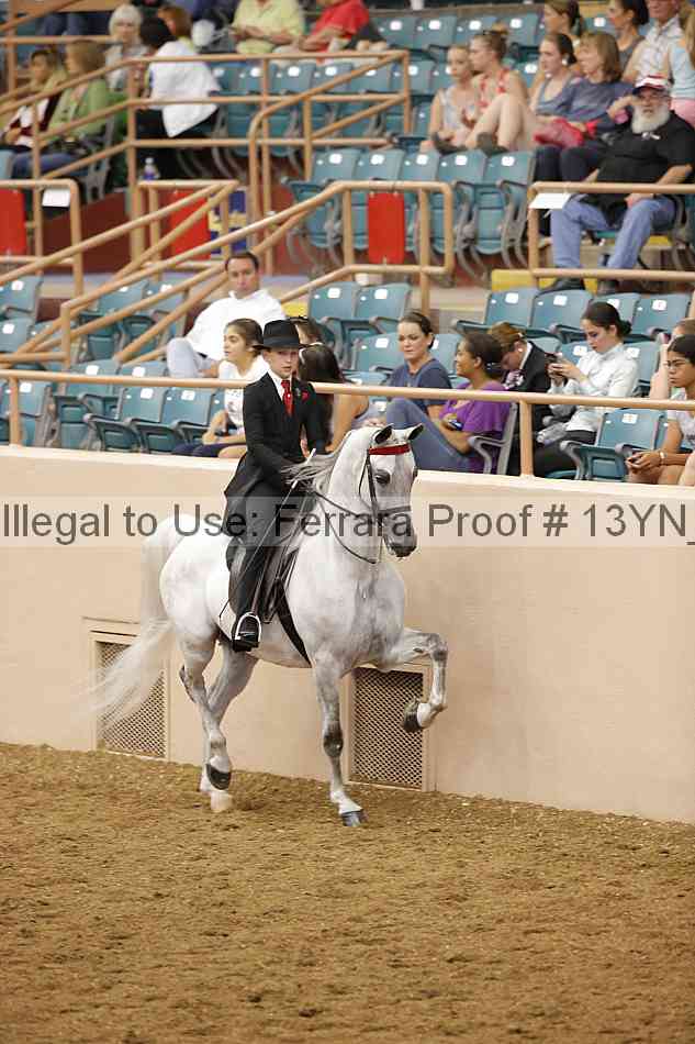 Proof 13yn_07741