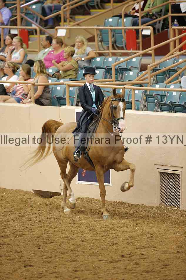 Proof 13yn_07742