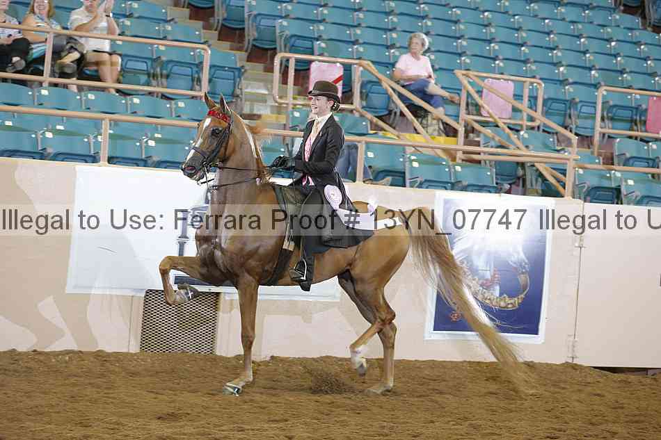 Proof 13yn_07747