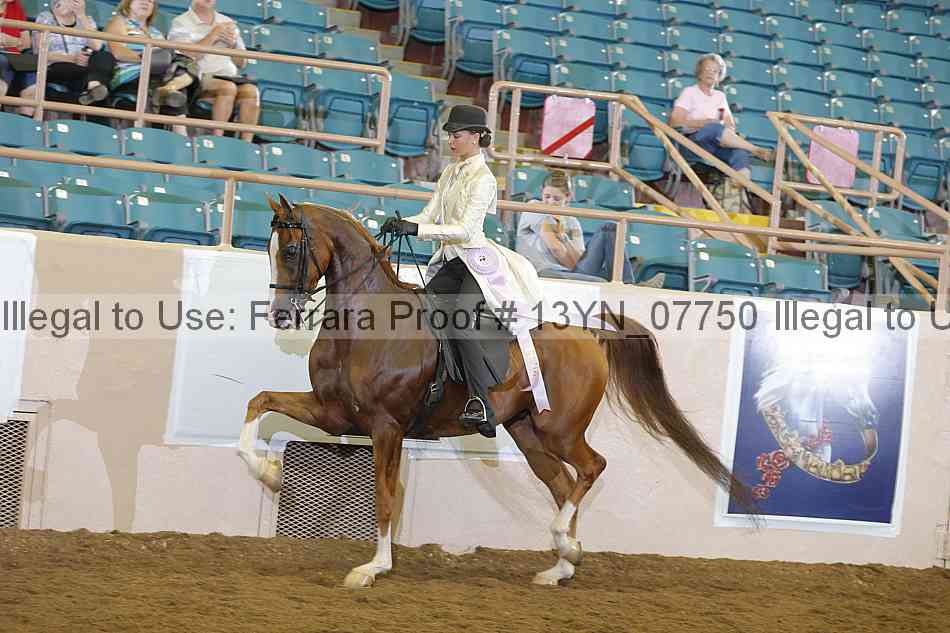 Proof 13yn_07750