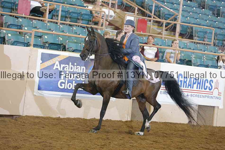 Proof 13yn_07751