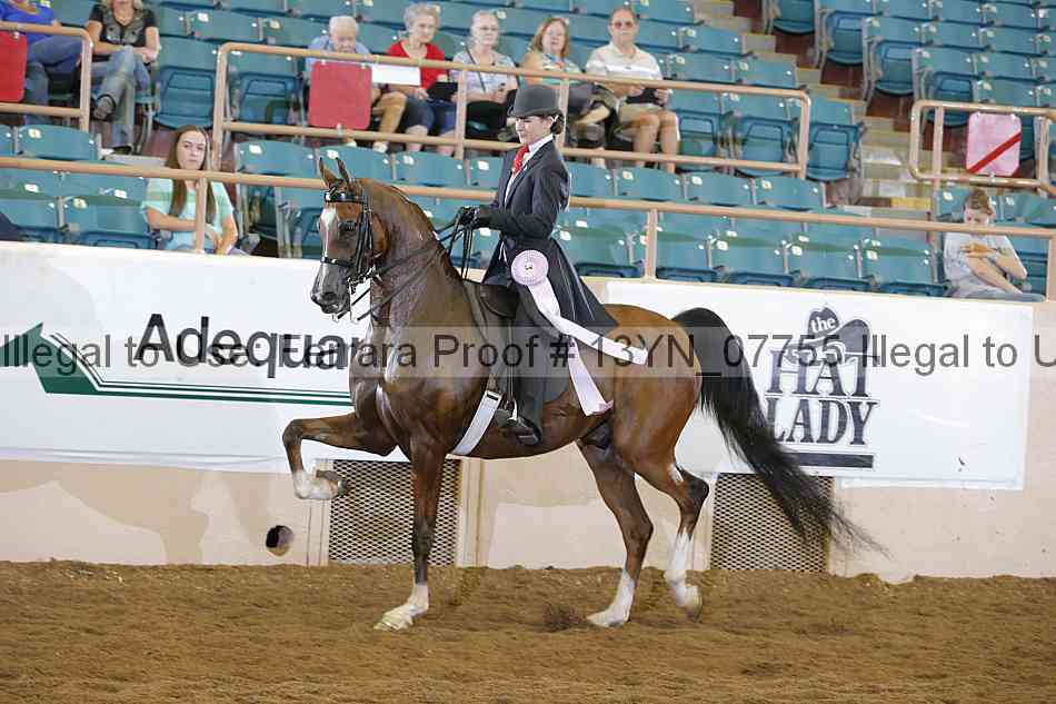 Proof 13yn_07755