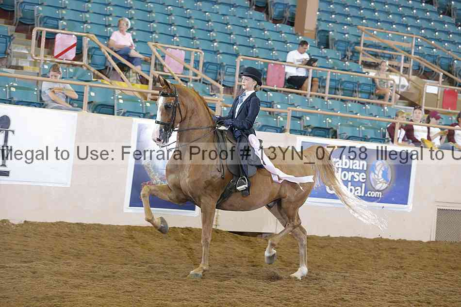 Proof 13yn_07758