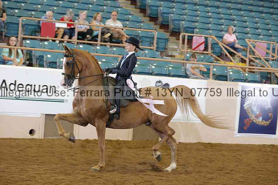 Proof 13yn_07759
