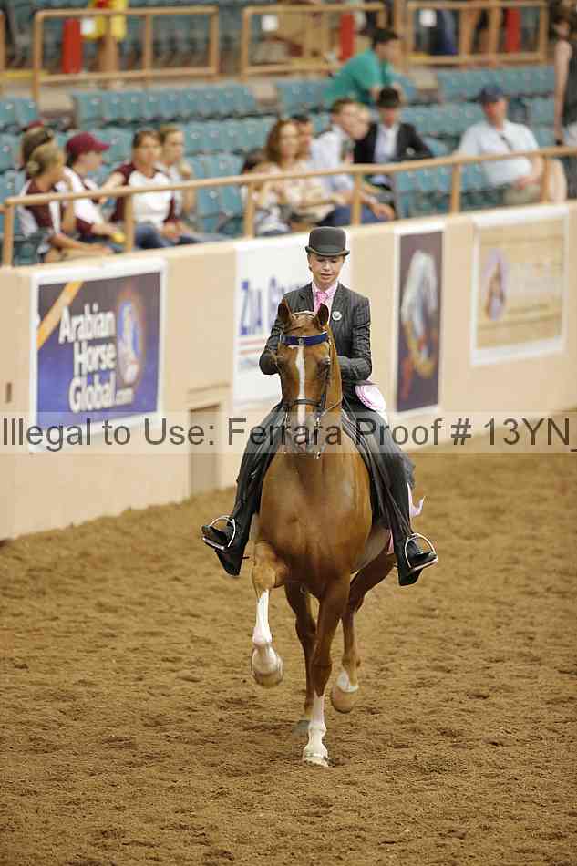 Proof 13yn_07763