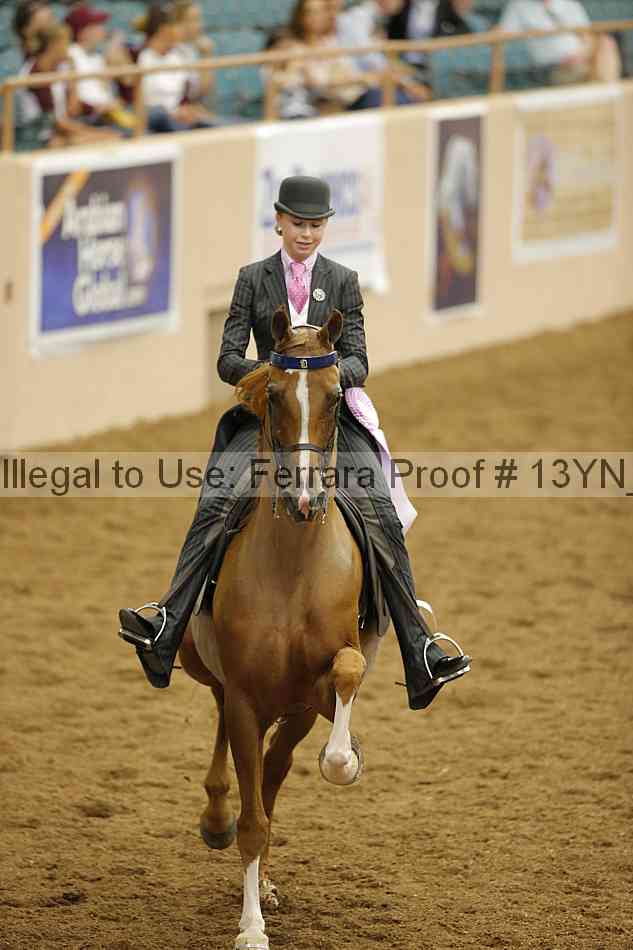 Proof 13yn_07765