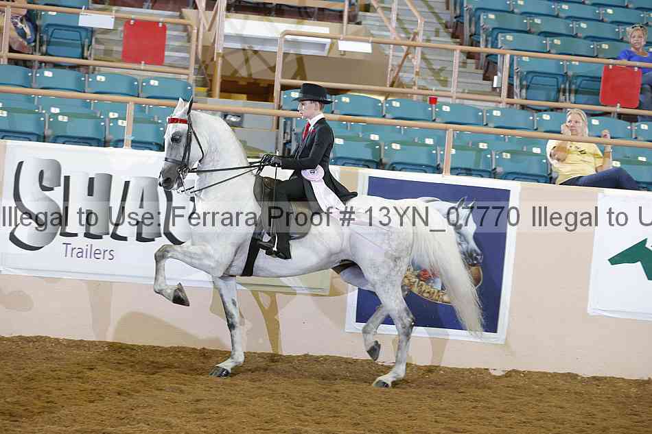 Proof 13yn_07770