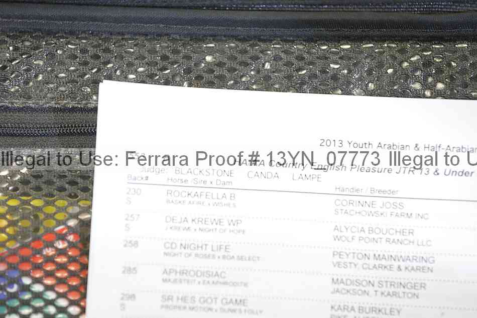 Proof 13yn_07773
