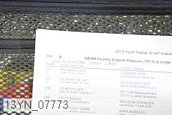 13yn_07773 proof