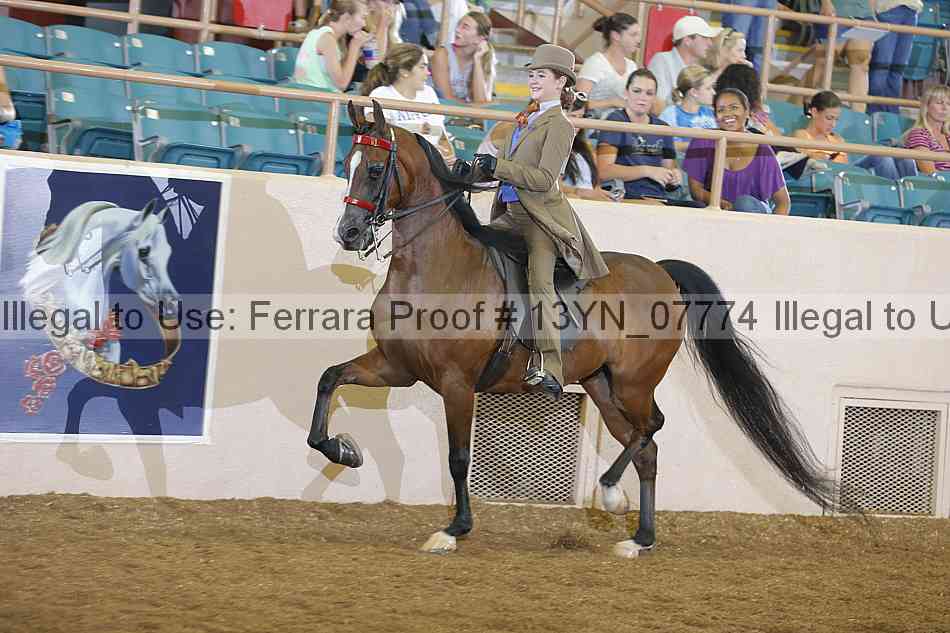 Proof 13yn_07774