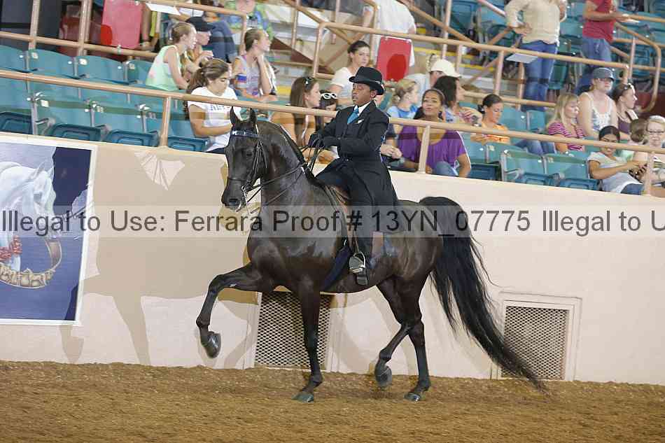 Proof 13yn_07775