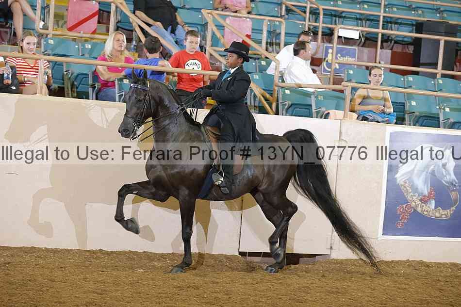 Proof 13yn_07776