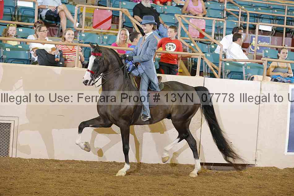 Proof 13yn_07778