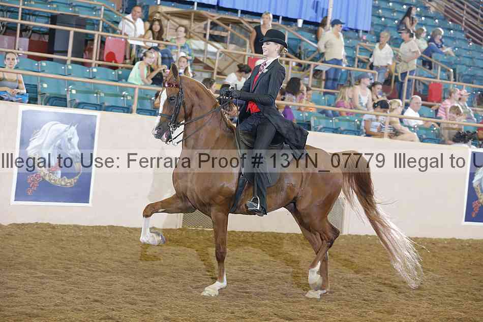 Proof 13yn_07779