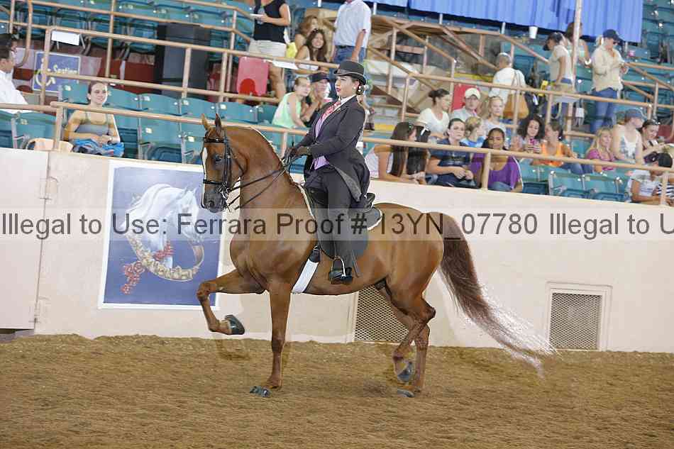 Proof 13yn_07780