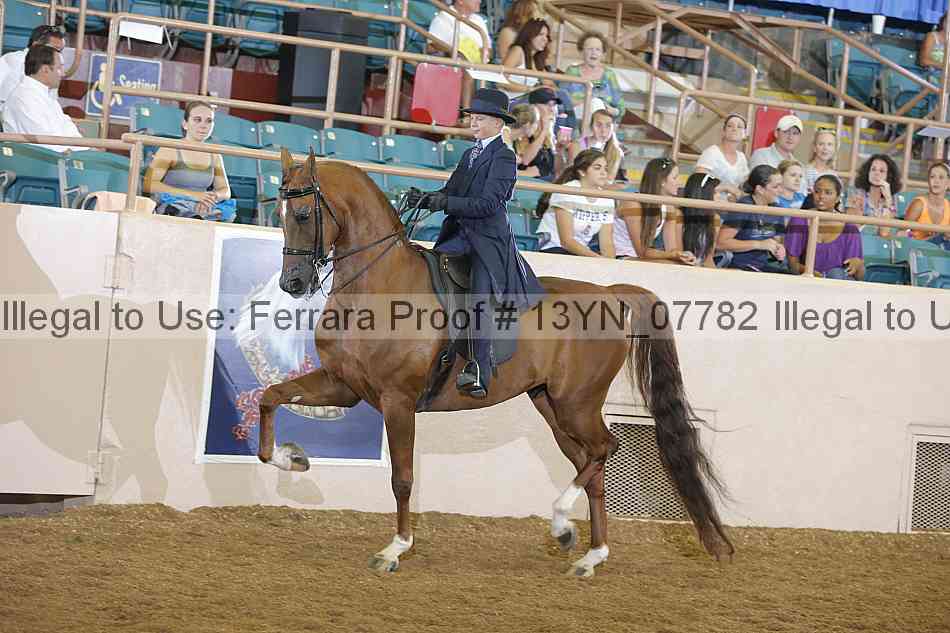 Proof 13yn_07782