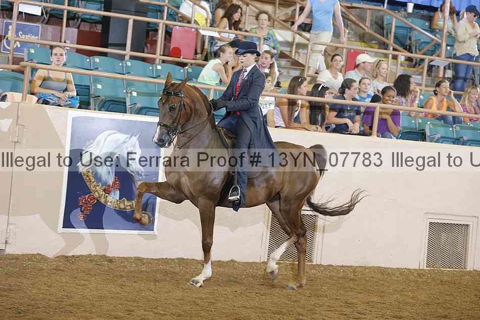 Proof 13yn_07783