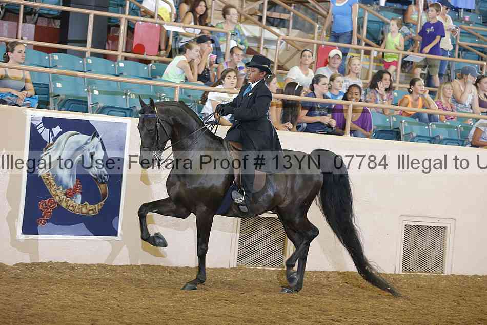 Proof 13yn_07784